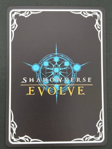 聖騎士・ヘクター SL BP08-SL16 <シャドウバースエボルヴ>の画像