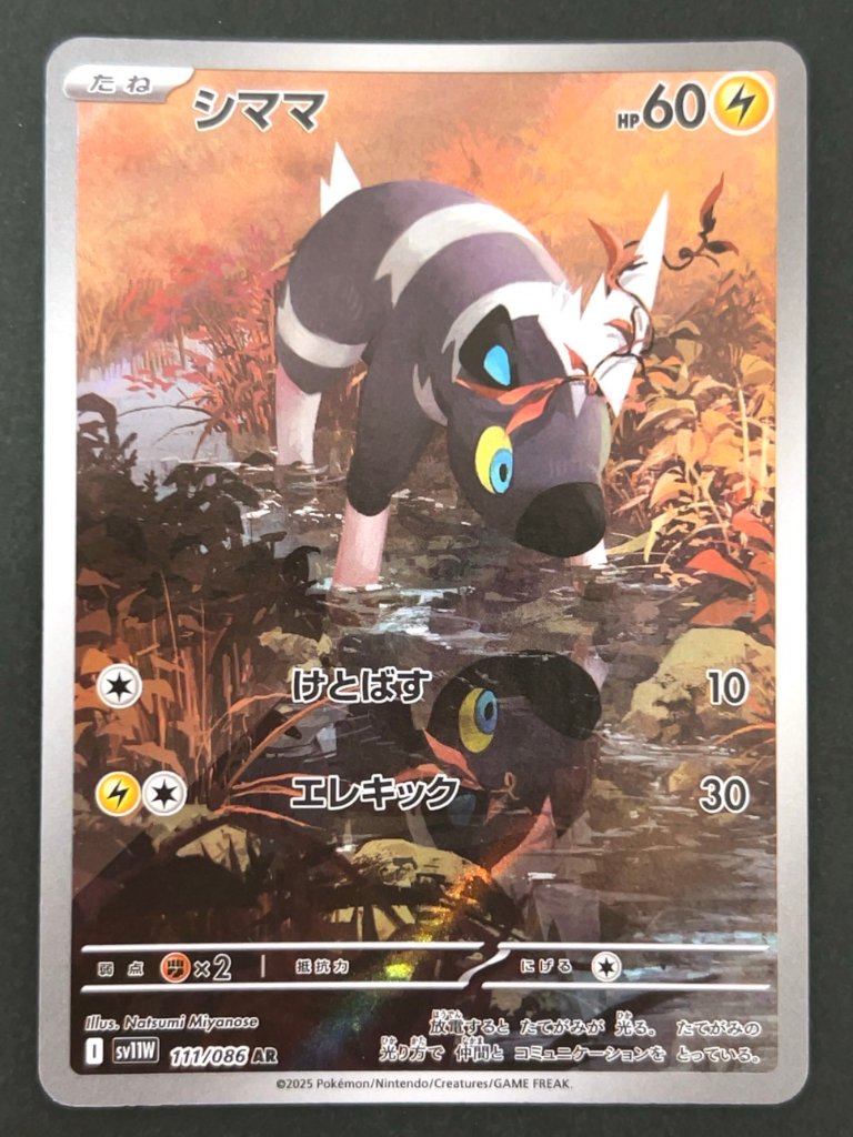 シママ AR SV11W <ポケモンカードゲーム>の画像