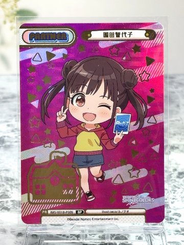 園田智代子 BP IMS/001B-P026 <Reバース>の画像