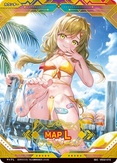 MAP L（マップL） SEC VE02-072の画像