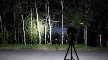 【予約制】ライトトラップ（灯火採集）クワガタ・カブトムシ採集（参加1名から3名まで）の画像