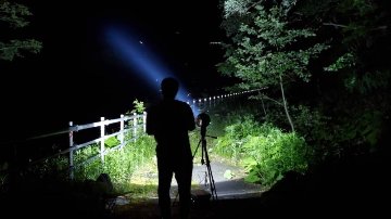 【予約制】ライトトラップ（灯火採集）クワガタ・カブトムシ採集（参加1名から3名まで）の画像