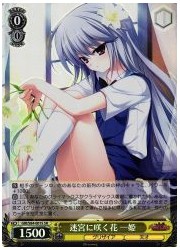 GRI(2)黄 迷宮に咲く花 一姫(SR)(S84-001S)の画像