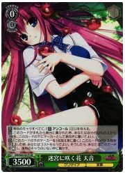 GRI(2)緑 迷宮に咲く花 天音(SR)(S84-037S)の画像