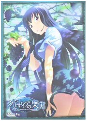 ブシロードスリーブコレクションHG　グリザイアの果実　「榊 由美子」の画像