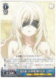 GBS(1)青 透き通った素肌 剣の乙女(R)(S63-069)の画像