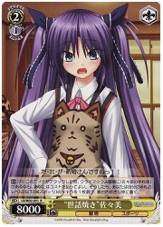 LBE(1)黄　‘世話焼き’佐々美(R)(W02-E01)の画像