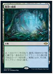 地(MH2)霧深い雨林(R)(日)画像