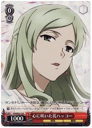 CNE(1)赤　心に咲いた花ハッコー(R)(SE02-15)の画像