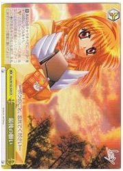 Kka(2)黄 最後の願い(CR)(W102-028)の画像