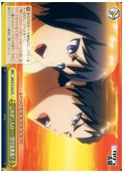SKR(1)黄 これが二人の……望月流奥義!!(CR)(S73-020)の画像
