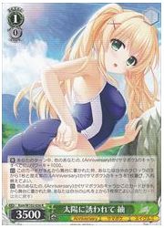 Ksm(2)緑 太陽に誘われて 紬(R)(W102-036)の画像