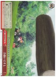 RW(3)赤　力強いですし(CR)(W48-071)の画像