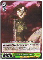 EV(1)緑　空を見上げるマリ(R)(S12-028)の画像