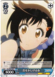 NKE(1)青　首をかしげる春(C)(WE22-34)の画像