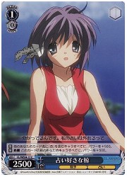 CLE(2)青　占い好きな椋(C)(WE04-17)の画像