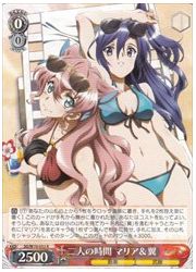 SG(5)赤 二人の時間 マリア&amp;翼(R)(W70-052)の画像