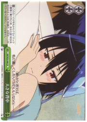 NK(1)緑　大きな背中(CR)(W30-048)の画像