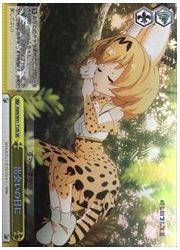 KMNTD黄 出会いの日に(SR)(W51-T10S)の画像