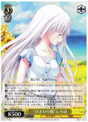 SMP(2)黄 ‘ひまわり畑’しろは(R)(W82-009)の画像