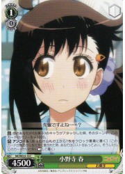 NKE(1)緑　小野寺 春(C)(WE22-18)の画像