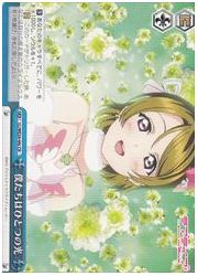 LLE(3)青 僕たちはひとつの光(CR)(WE24-44c)の画像