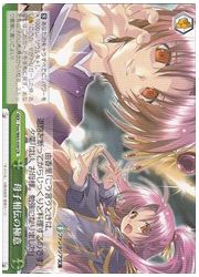 Fmr(1)緑 母子相伝の極意(CR)(W65-039)の画像