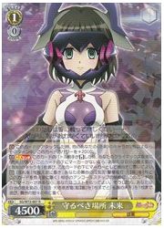 SG(6)黄 守るべき場所 未来(R)(W72-007)の画像