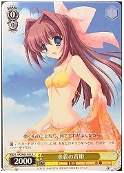 DCE(1)黄　水着の音姫(R)(W01-E01)の画像