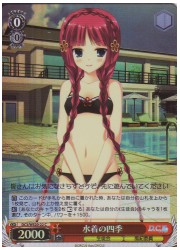DCE(5)赤　水着の四季(ホイル)(WE20-22)の画像