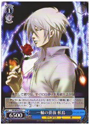 PPE(1)青　一輪の薔薇 槙島(C)(SE14-31)の画像