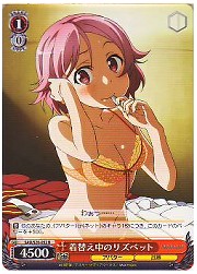 SAO(1)赤　着替え中のリズベット(S20-052R)の画像