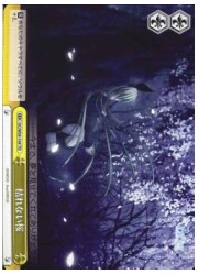 DCT黄　枯れない桜(TD)(W09-104)の画像