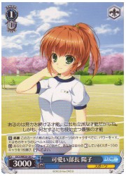 DCE(5)青　可愛い部長　陽子(C)(WE20-28)の画像