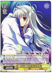 DC10(1)黄　優しい温もり シャルル(W23-004R)の画像