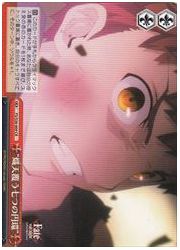 FSU(2)赤　‘熾天覆う七つの円環’(CR)(S36-069)の画像