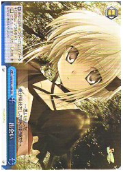 RW(1)青　出会い(CR)(W15-098)の画像