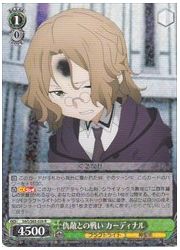 SAO(5)緑 仇敵との戦い カーディナル(R)(S65-028)の画像