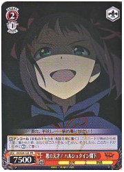 IM限赤　悪の天才!ハルシュタイン閣下(PR)(S14-123)の画像