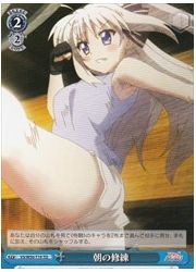 VSTD青　朝の修練(TD)(W50-T19)の画像