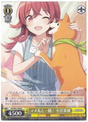 ISC(1)黄 マメ丸と一緒！ 小宮果穂(R)(S81-006)の画像