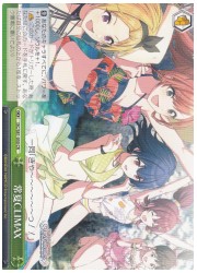 ISC(1)緑 常夏CLIMAX(CR)(S81-050)の画像