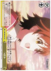 IMC(2)黄 つぼみ(CR)(W43-037)の画像