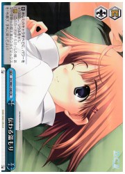 DC(4)青 伝わる温もり(CR)(W81-040)の画像