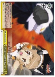 SG(1)黄　守りたいものがあるんです!(CC)(W19-024)の画像