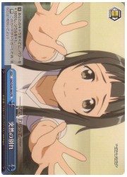 SAO限青　突然の別れ(PR)(S26-085)の画像