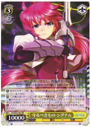 N2(1)黄　守るべきもの シグナム(W25-002RR)の画像