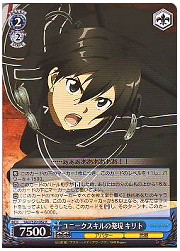 SAO(1)青　ユニークスキルの発現キリト(S20-082R)の画像