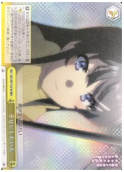 SBY(2)黄 幸せにしたい人(RRR)(W77-021R)の画像