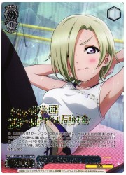 LNJE(2)青 ボクから目を離さないでね ミア・テイラー(FP)(WE39-049FP)の画像